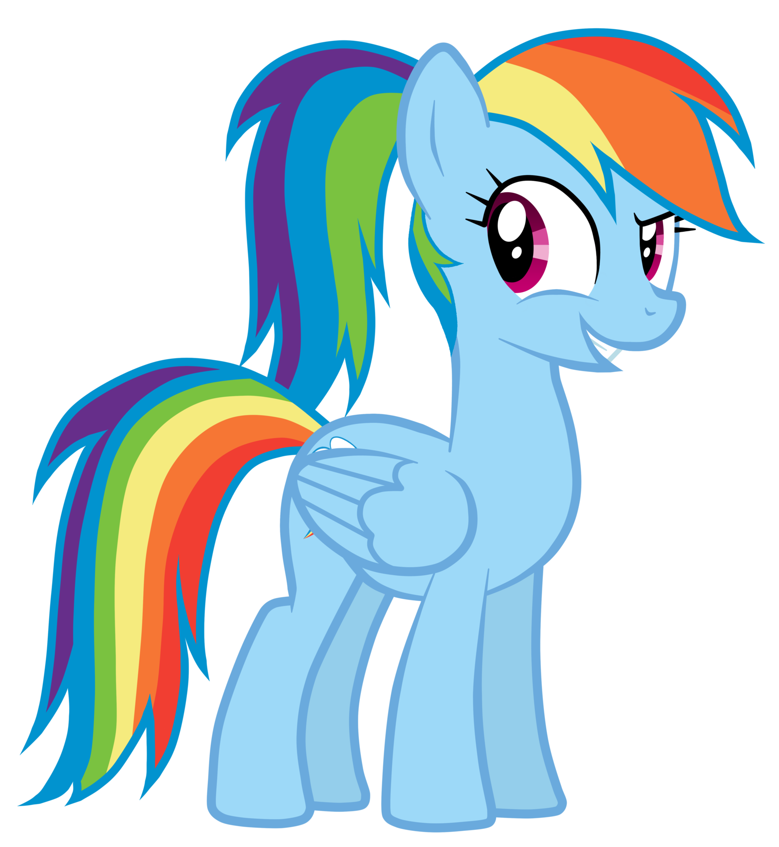 Rainbow Dash Ponytail Rainbow Dash Pony My Little Pony