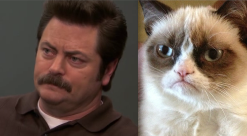 Anyone+else+reminded+of+ron+swanson+by+grumpy+cat+_d75d33379f9f7ab517188b8d8e26feb4.png