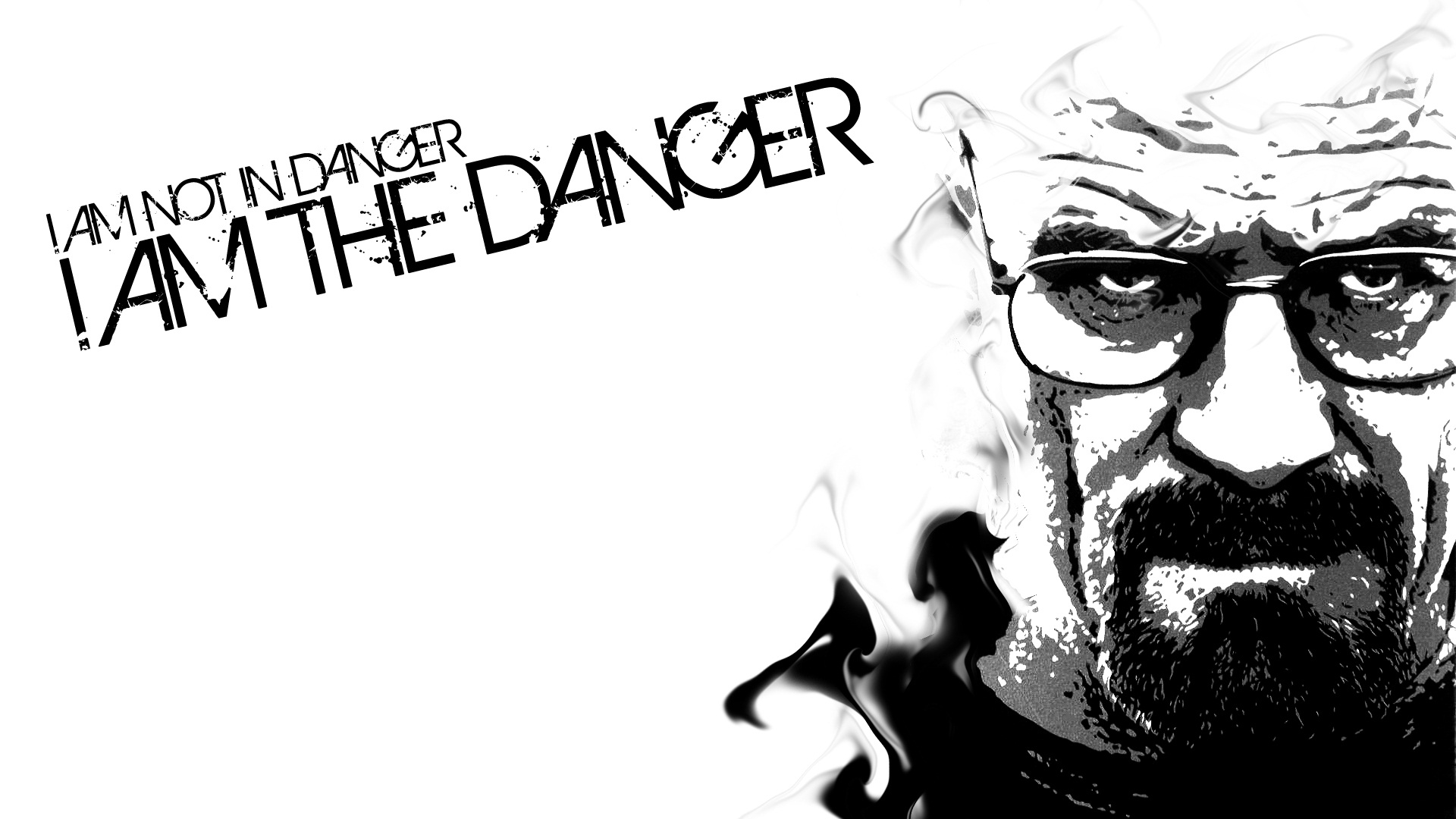 I+am+not+in+danger+Skyler+I+am+the+danger+_c0f123c07e92563d9ecc576e78befe46.jpg