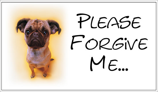 sorry