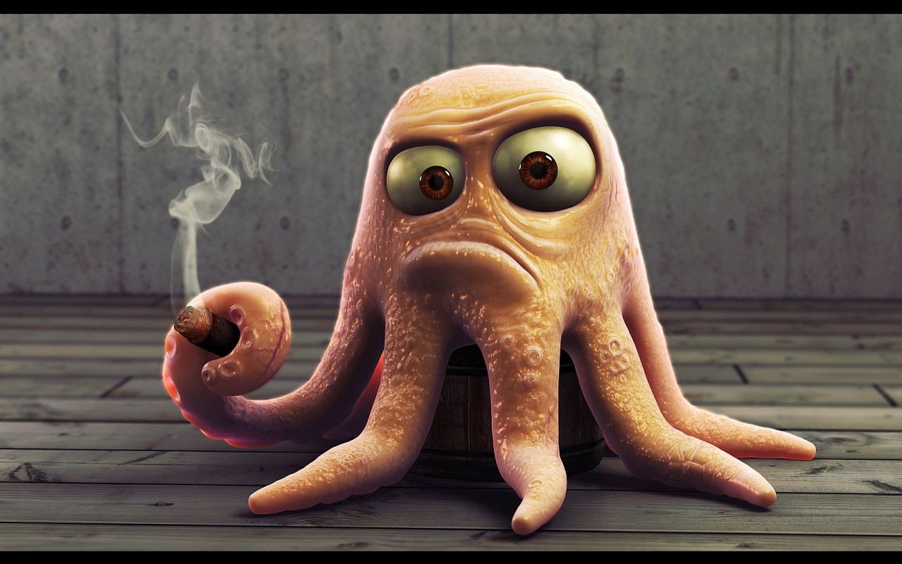 My Octopus