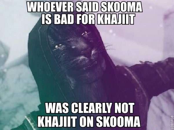 You+were+clearly+not+Khajiit+on+skooma+_36a272ed58c197931effd16ea1267f98.jpg