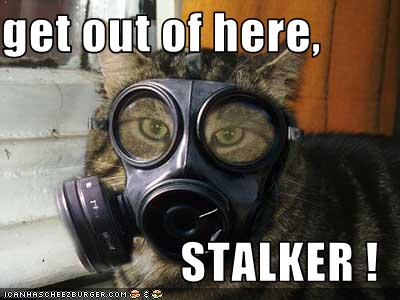 Stalker Cat