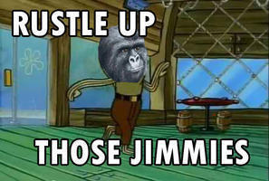 My+jimmies+have+been+rustled+_58a58d942806e1317947e2519c030f76.jpg