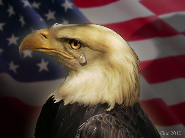 Us+government+just+spent+35+million+dollars+to+figure+out+_fdb6918ff3a0f4dd0c1b1c3d150df72a.jpg