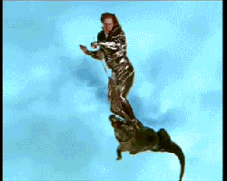 And+flying+alligators+on+occasion+_fde1300307f1e05b8bc7c63243c680d7.gif