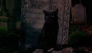 hocus pocus binx cat thackery 1993 vamp cats anybody shed tears died else kid when movie stuff movies disney choose